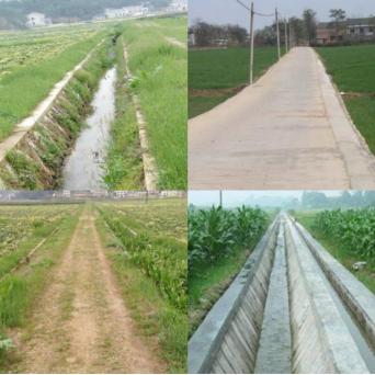 青蛙住“宾馆”，农田会呼吸，这个村发生了啥？