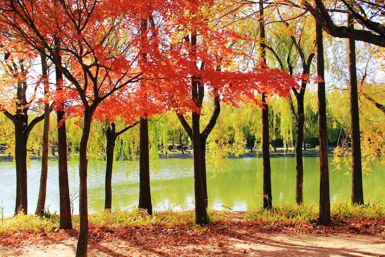 尼康入门单反,单反快速入门攻略