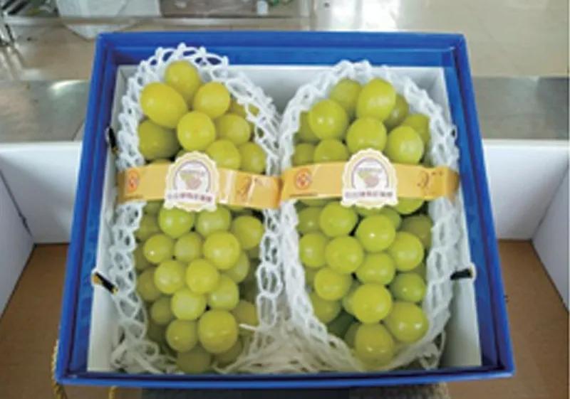 中国农垦上海,中国农垦集团总公司排名