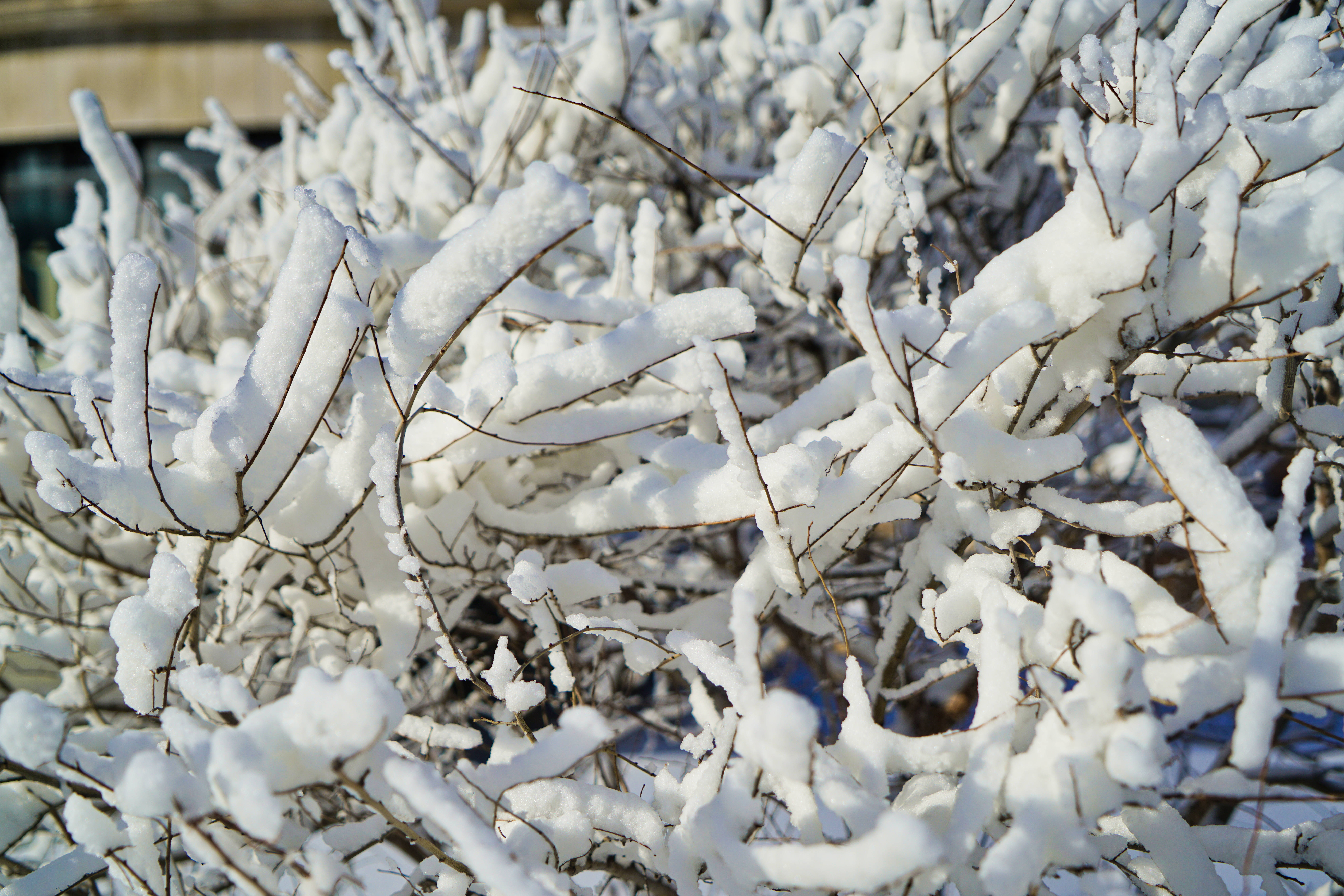 被称为盛京的沈阳，故宫、元帅府、宝马汽车厂都是必打卡网红点
