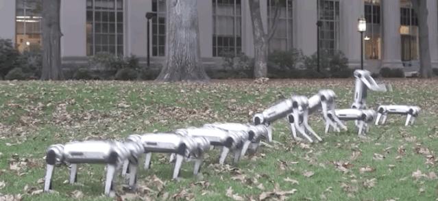 一群机器狗表演,一群机器狗视频