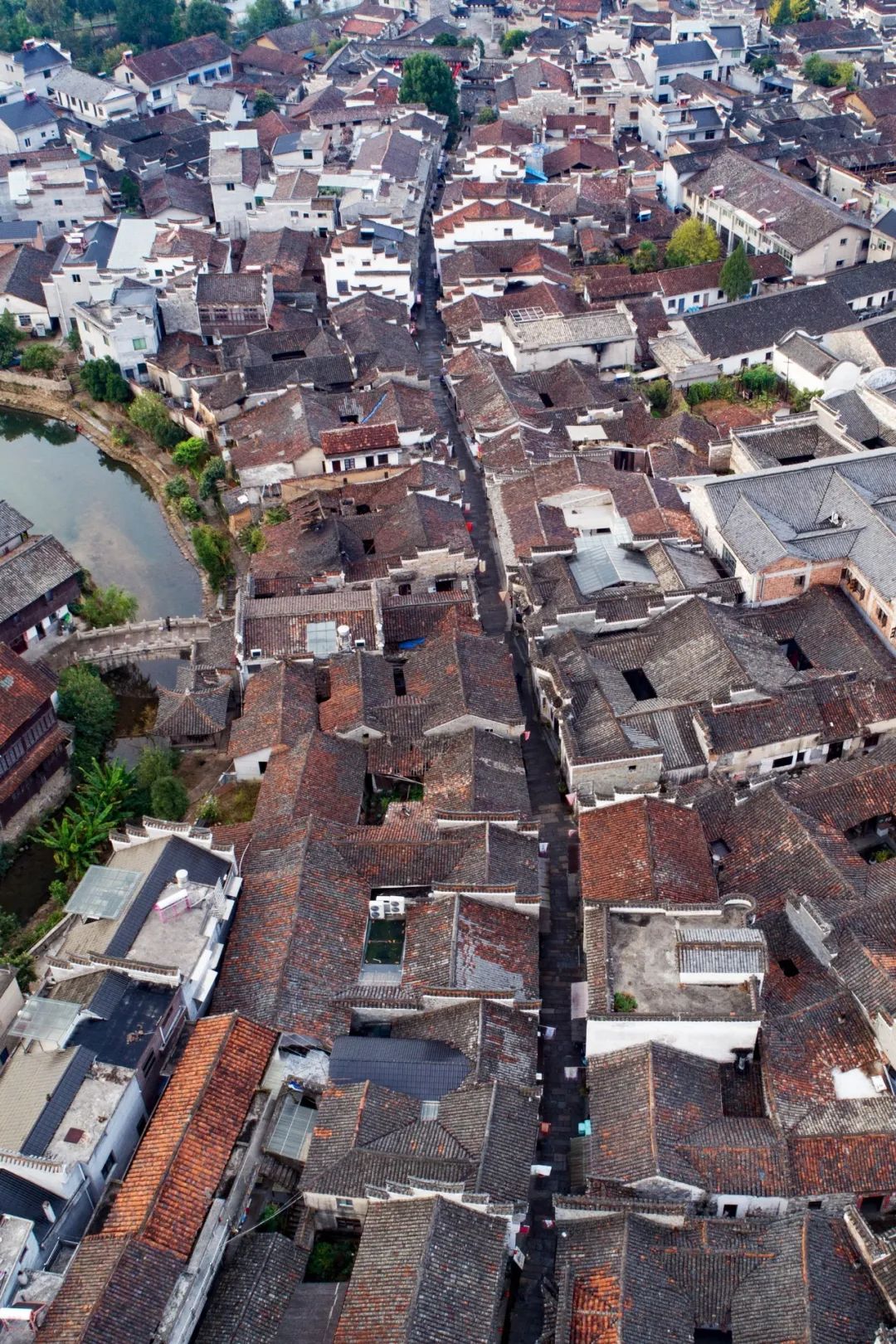 浙江的西南角，竟然藏着一片“大好江山”？