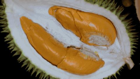 他的工作是厨师的英文,他的工作是什么英文句子