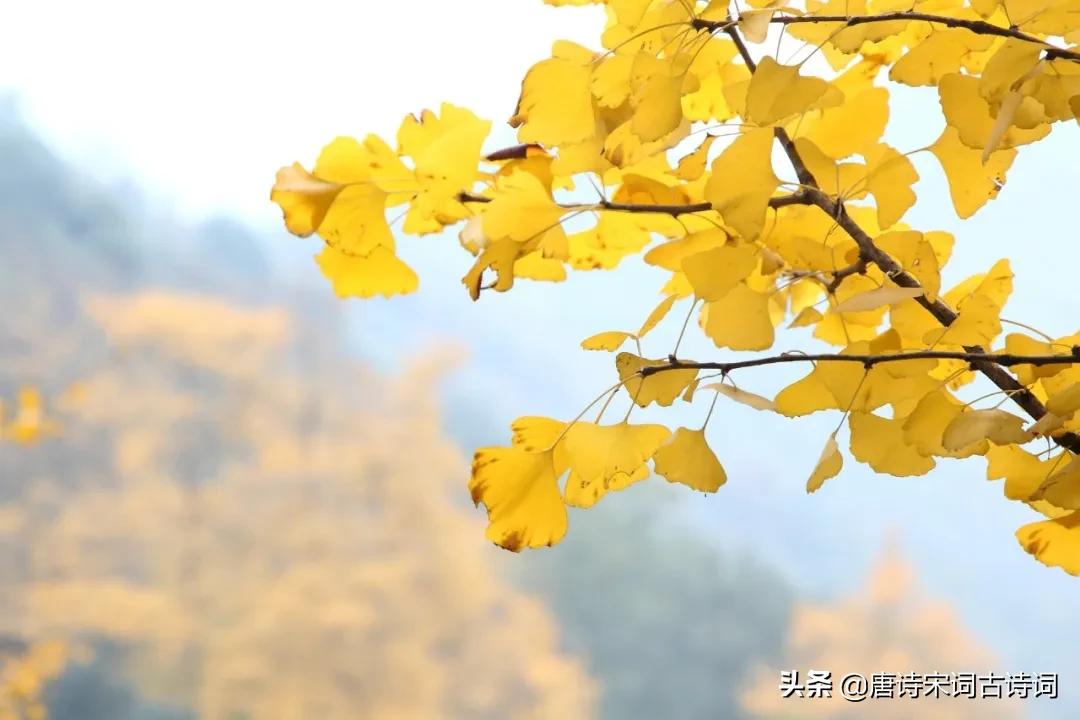 100句惊艳的名句,经典诗词名句大全100首