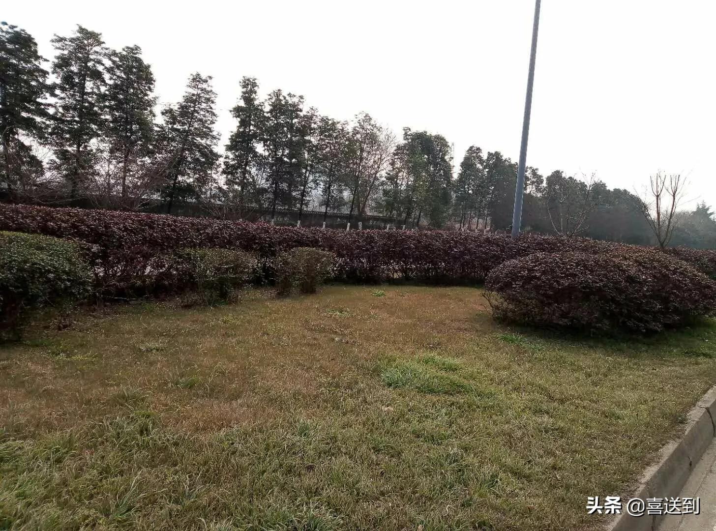 夫妻之间信任相处之道,如何化解夫妻之间的信任危机