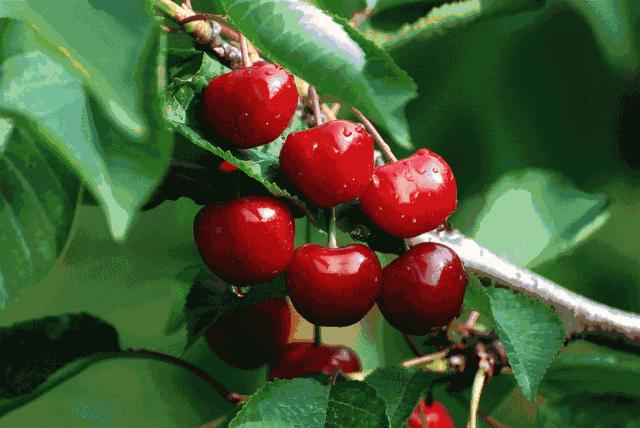 前方高能预警会怎样,前方高能预警提示