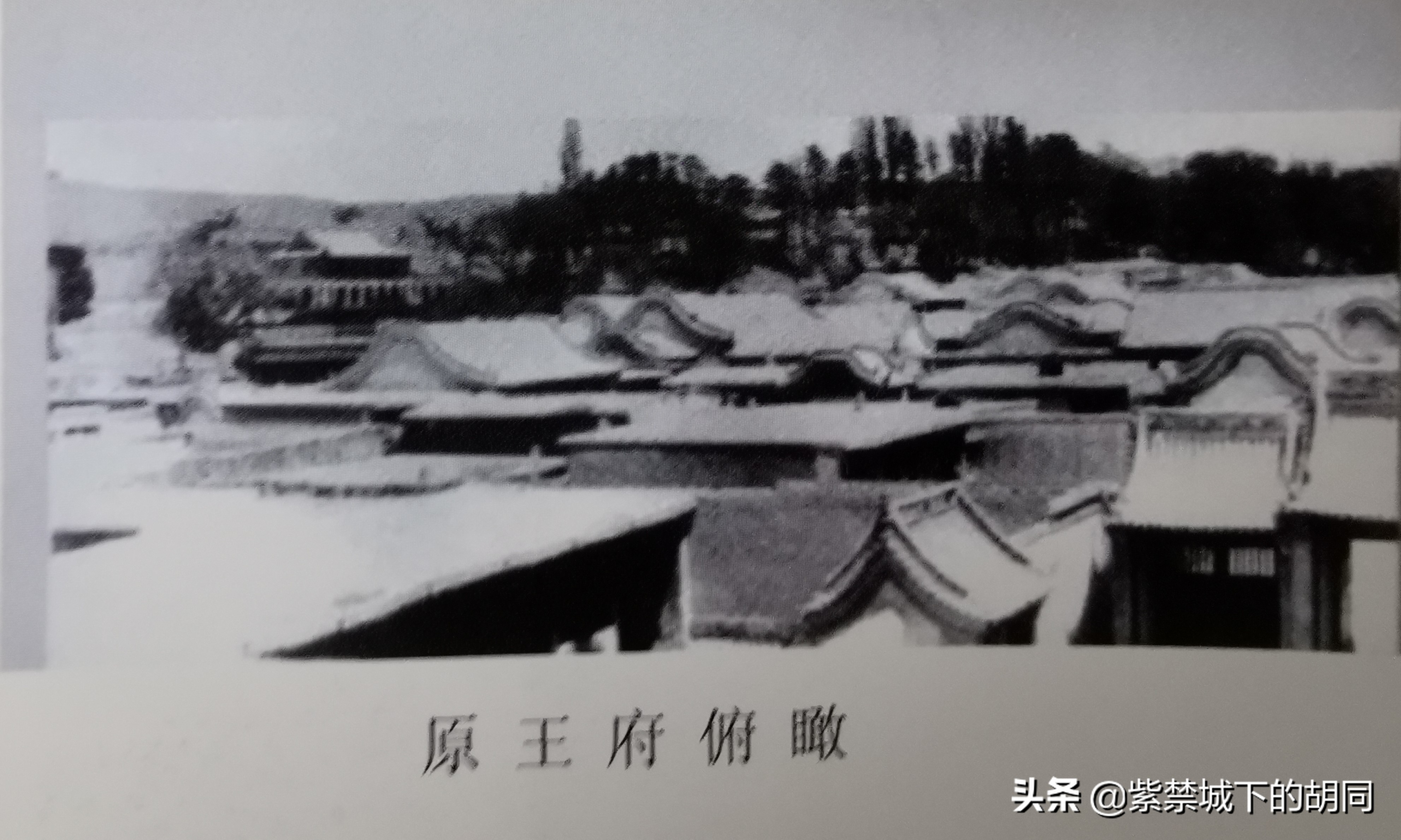 一篇*今条头日**文章，惊喜见到阿拉善王府的“格格”