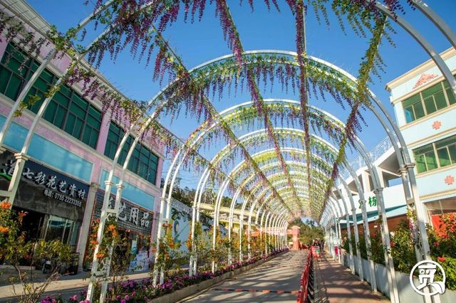 深圳花店有什么花,深圳龙华花店订花送花