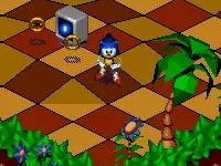 md战棋游戏,md双人游戏