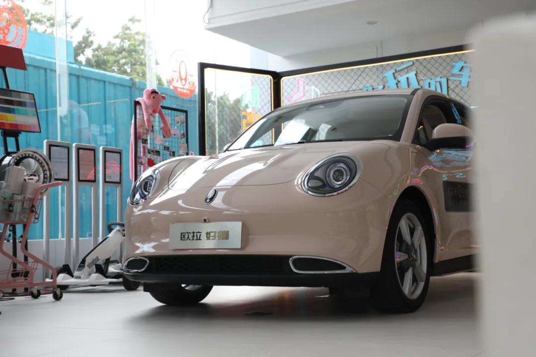 “七夕节”快到了送啥玫瑰不如送“欧拉好猫”吧