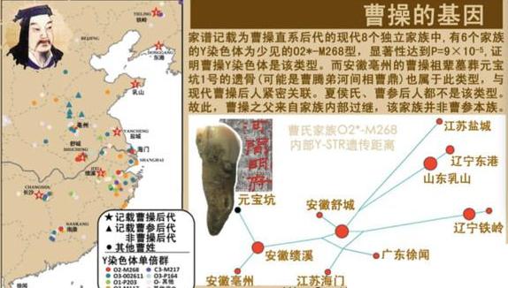 破获南医大命案和白银案都靠它，Y染色体父系遗传标记检测是什么技术？