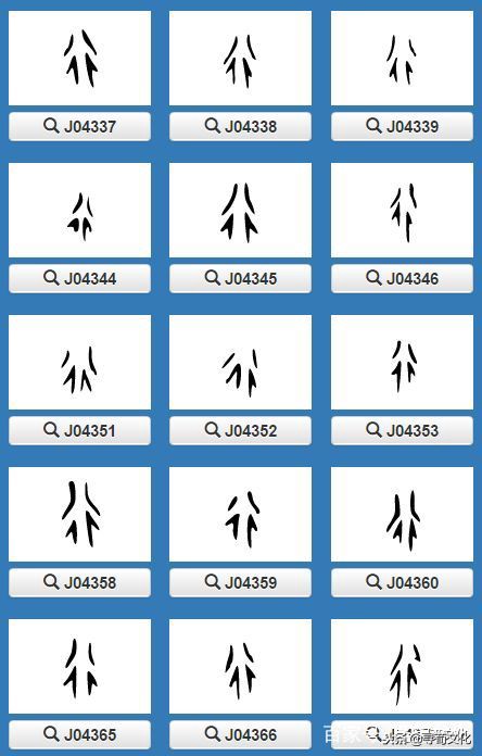 百家姓中汉字起源,汉字起源与百家姓