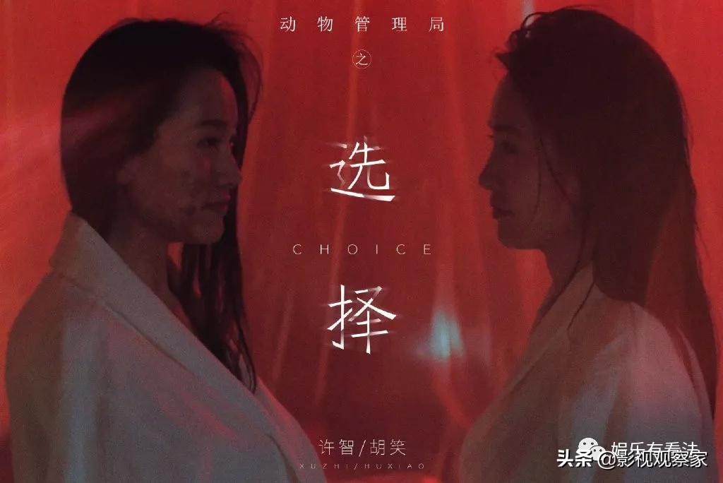 动物管理局第二季免费观看完整版,动物管理局完整版1-24集免费