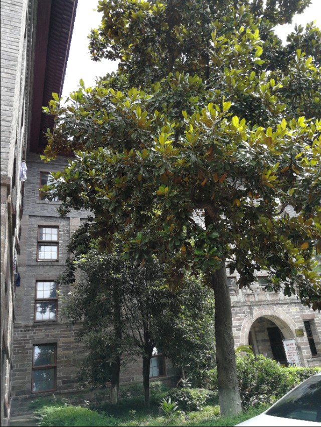 宁波海曙区华美医院,宁波华美医院历史