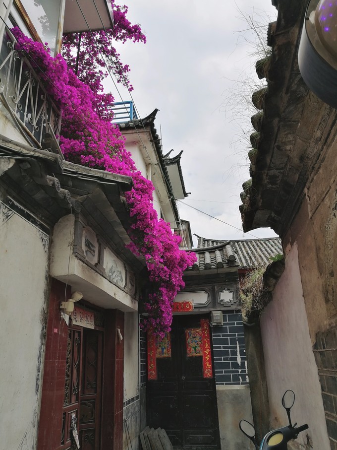 大理洱海风花雪月,大理风景风花雪月