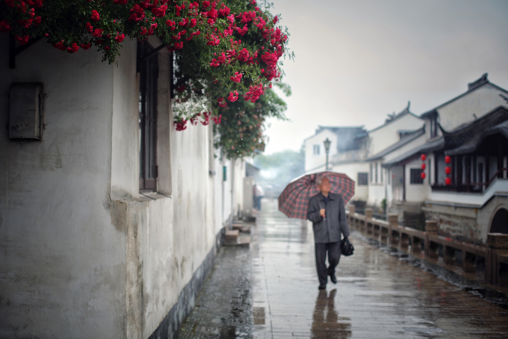 离上海仅1小时,这3座小众安静的江南名园,可惜大多数都没听过!