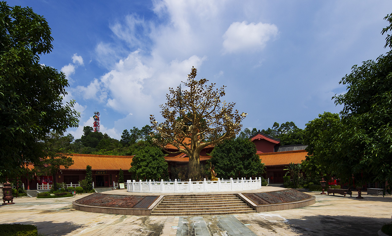 佳能135装系统,135系统相机