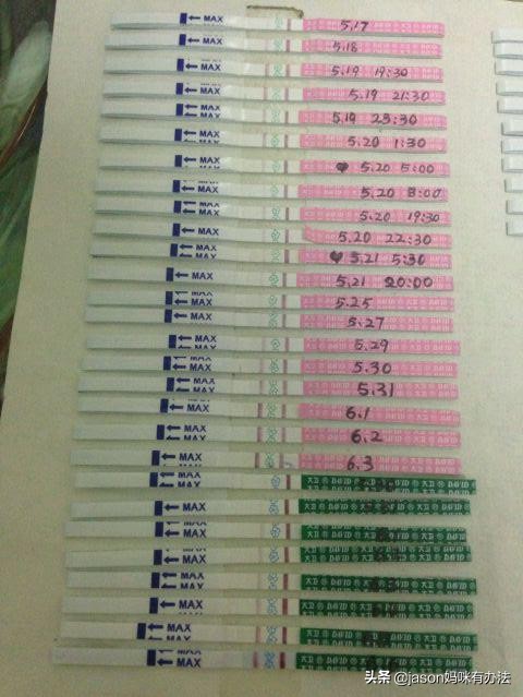 排卵期同房了,还是怀不上?因为你没分清前排卵期还是后排卵期