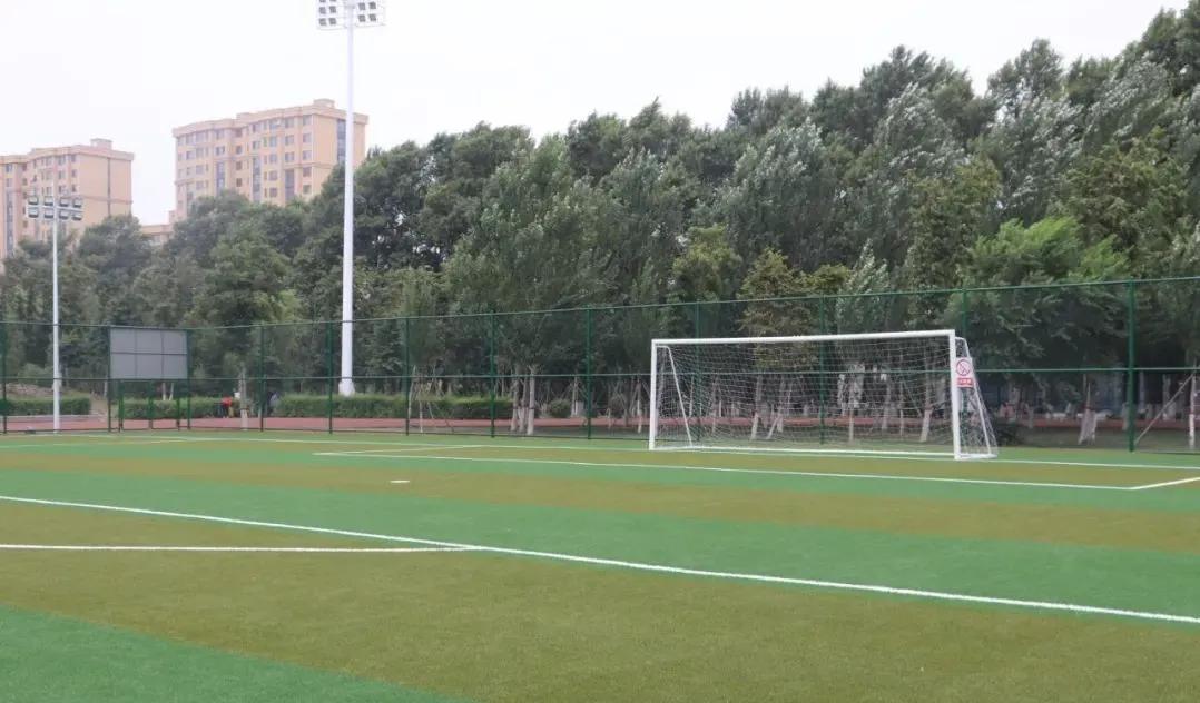 四平哪个足球场免费,四平体育馆免费开放吗