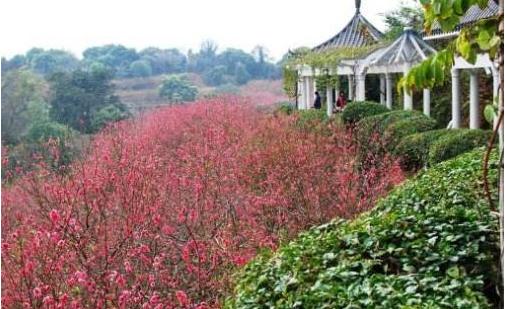 来广东一定要来一次西樵山,佛山西樵山值得去嘛