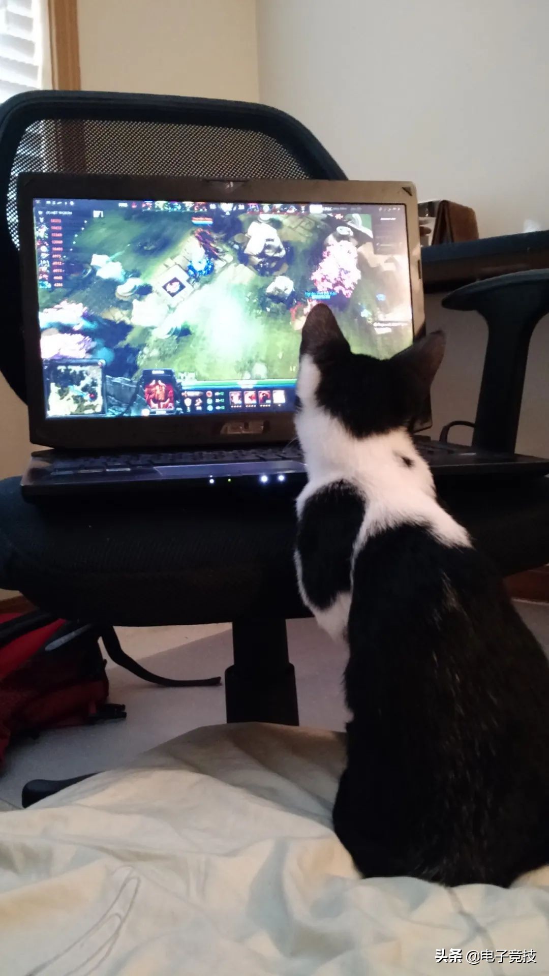 电竞传奇故事,电竞故事短视频