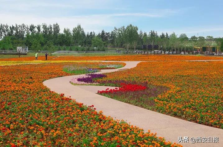 西安公园开放通知最新,西安附近公园免费景点