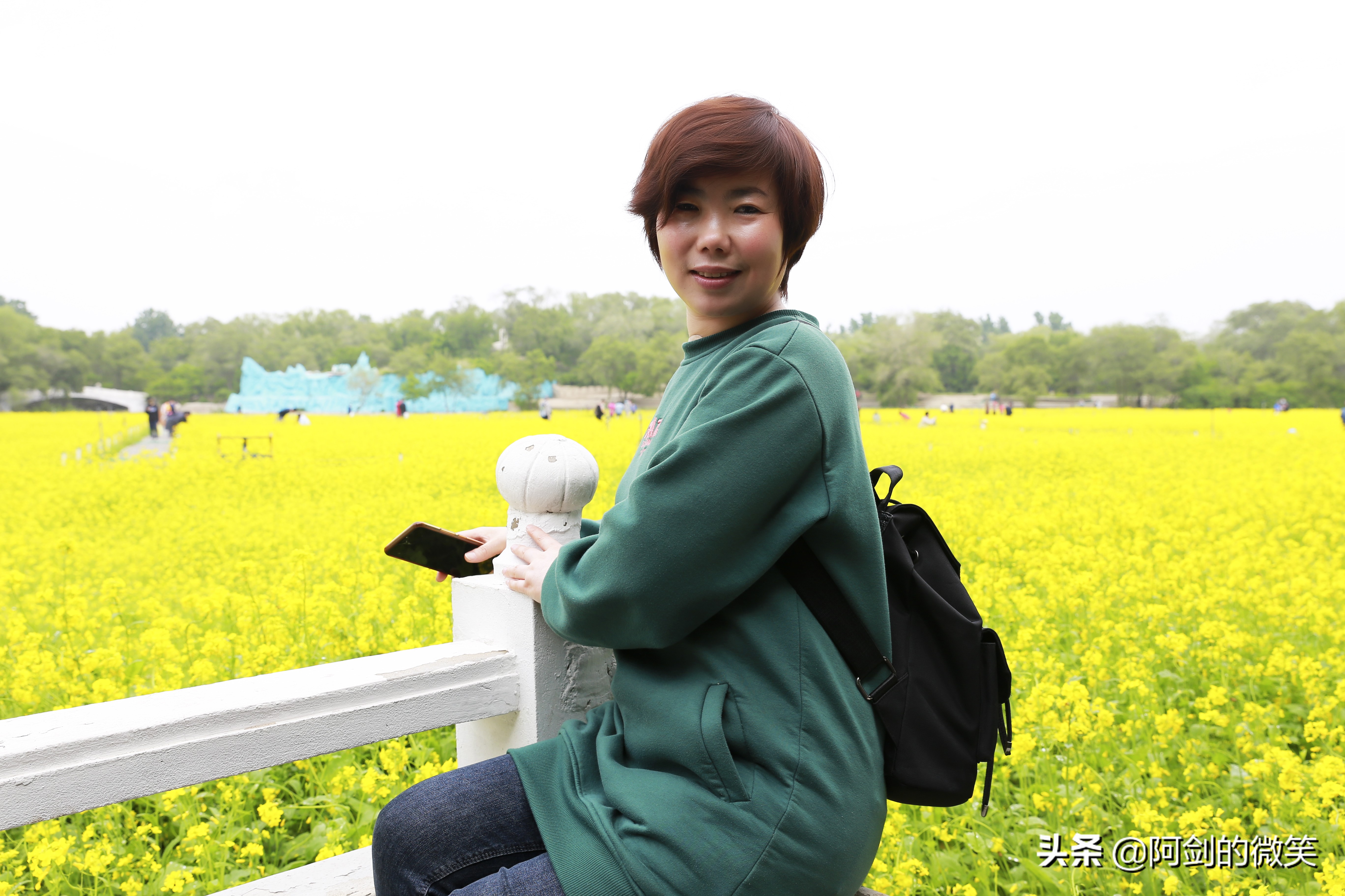 沈阳十一假期哪里有花海,沈阳玫瑰小镇温泉花海两日游