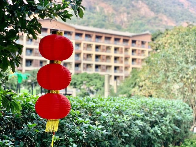 金叶子温泉一日游,去金叶子准备什么