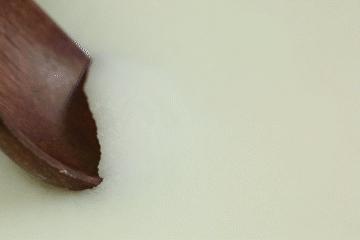 征服一个人需要多大的勇气,征服一个人需要多少勇气