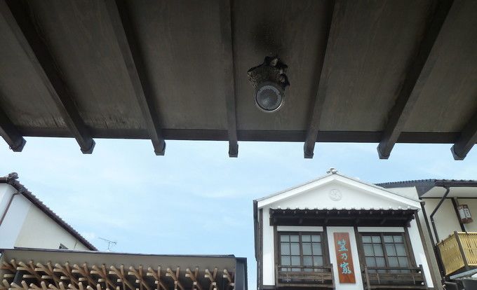 邮轮歌诗达号旅行,邮轮歌诗达赛琳娜号