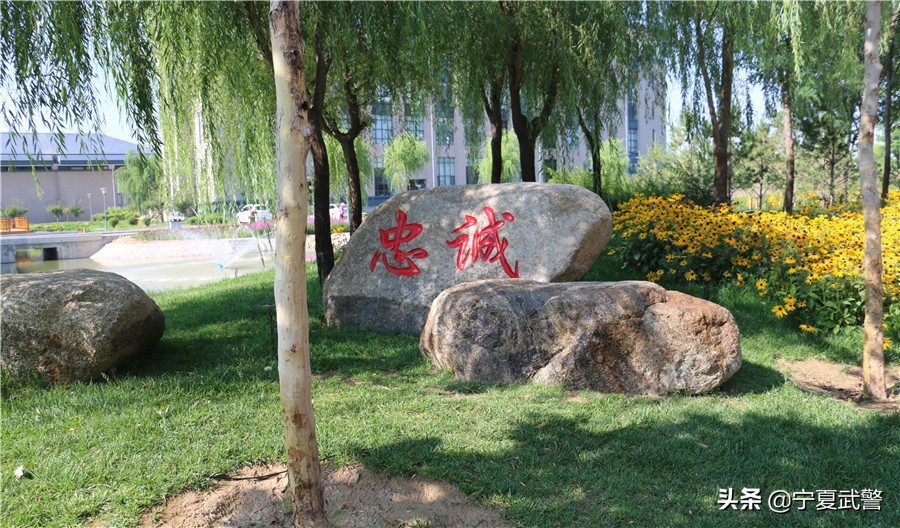 警钟长鸣分几个部分,警钟长鸣有多少期