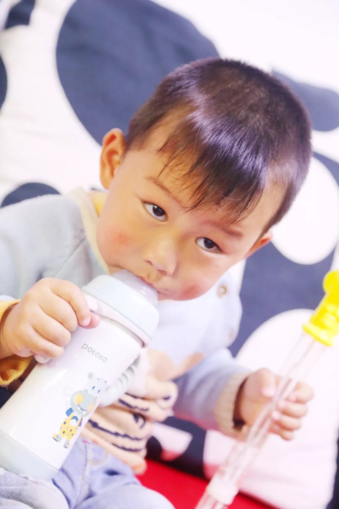 好物丨诗幼乐好奶源好品质好配方呵护宝宝健康成长～