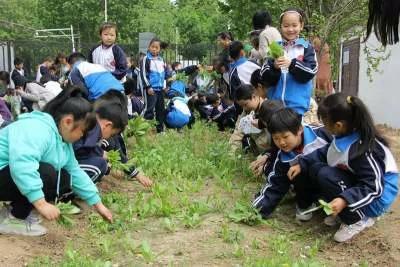 人性的弱点每个人都想贪多求全,人性三大弱点急功近利