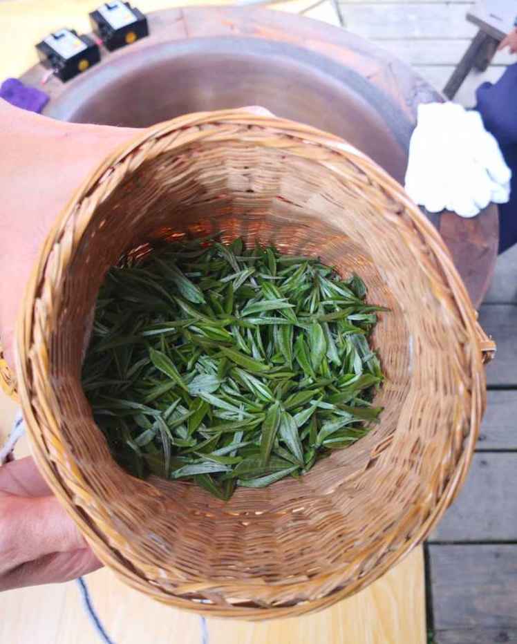 自炒茶叶纯天然,云南茶传统柴火手工炒茶