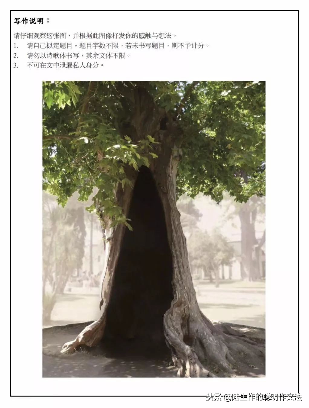 华子悦：我只是一个树洞，但我可以倾听