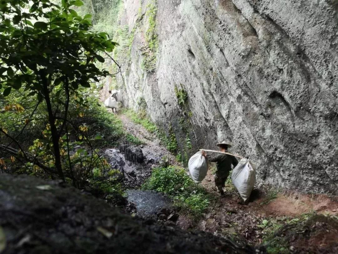 茶百道工作体验真实感受,从事茶行业的自述