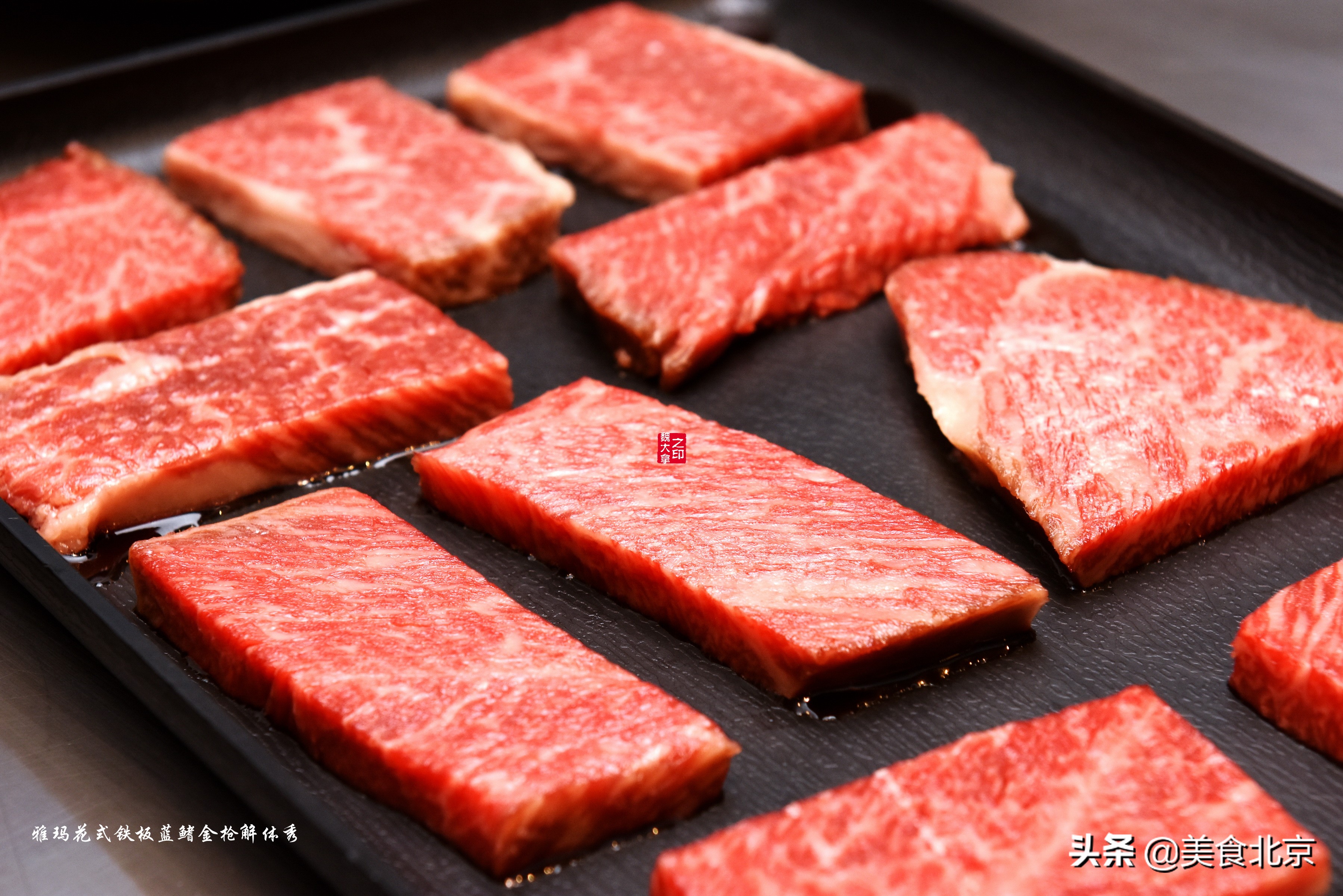 蓝鳍金枪鱼开鱼秀,深海捕蓝鳍金枪鱼