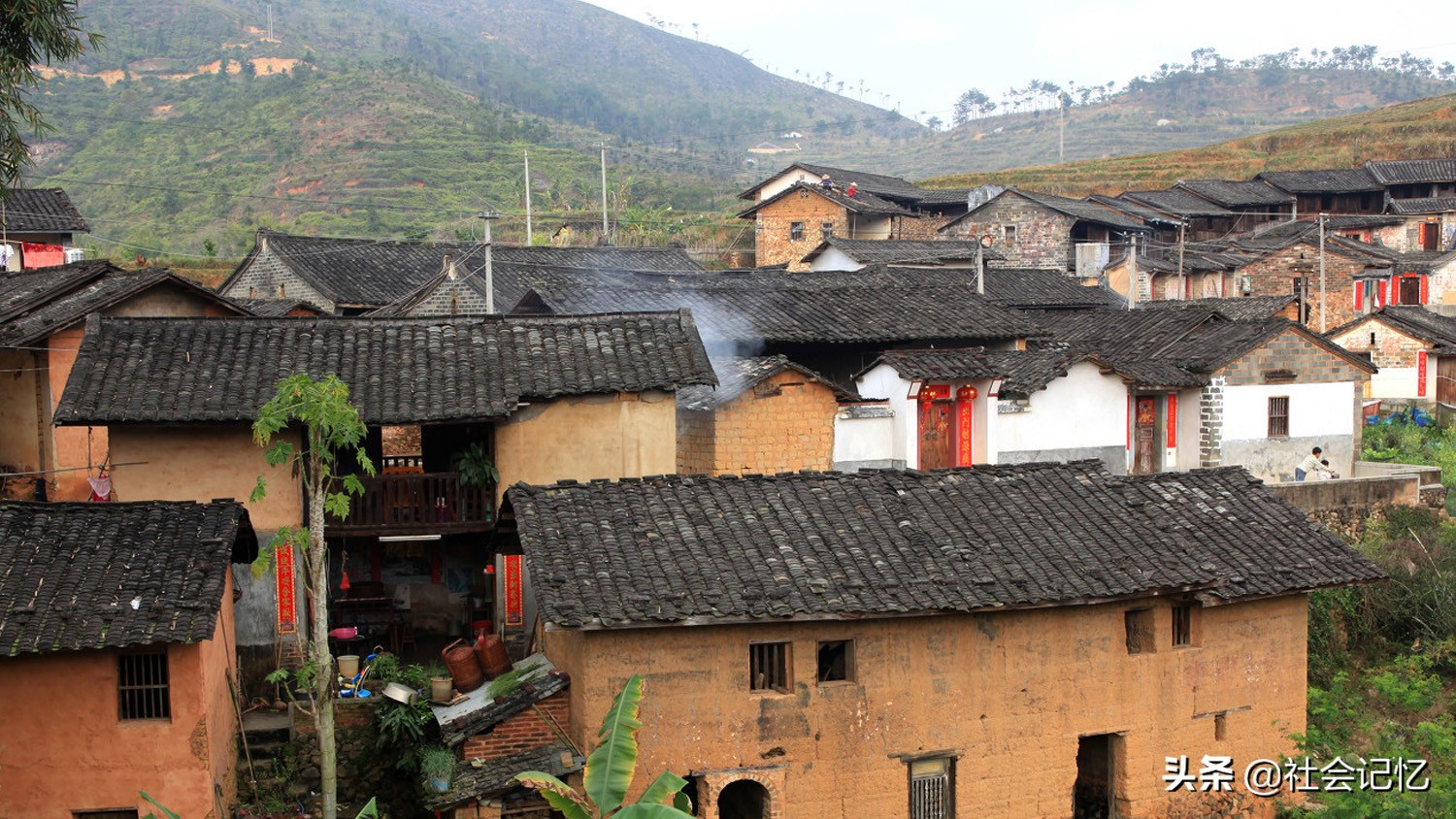 CCTV7农村致富项目,农村脱贫致富连续剧大全