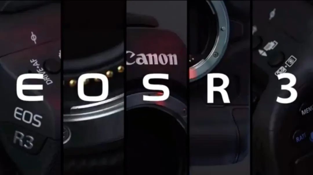 灏煎悍z9鍜屼匠鑳絩3鎷嶇収瀵规瘮,浣宠兘r3鍜屽凹搴穤9瀹為檯鎷嶆憚瀵规瘮