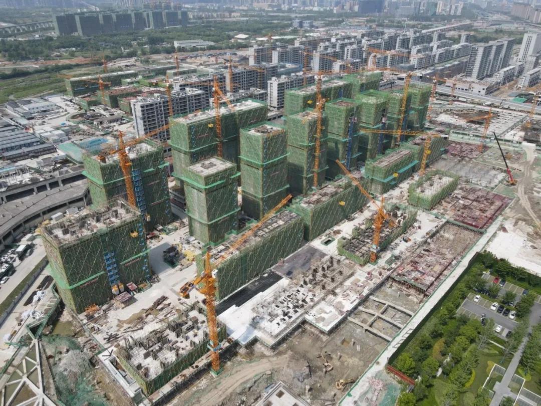 热情耗尽？突然领证的“超级红盘”天空、蒲荷，首日登记平淡