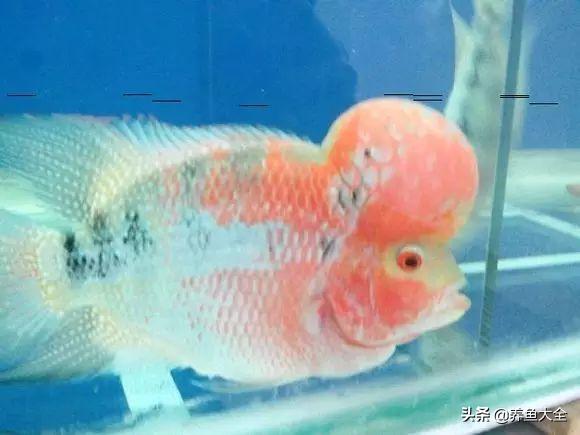 怎么快速让罗汉出状态,18罗汉最简单的复原方法