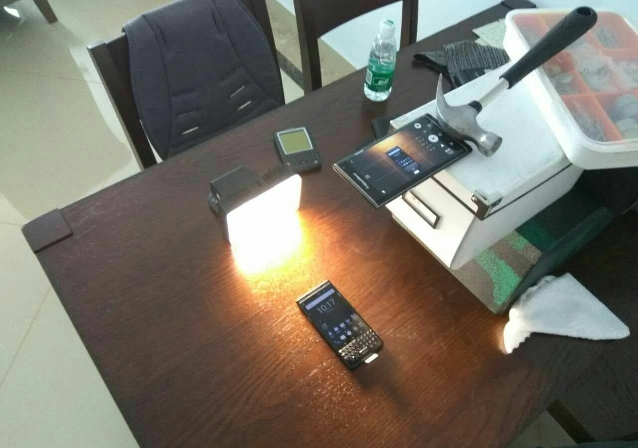 黑莓的一生,黑莓的一生简介