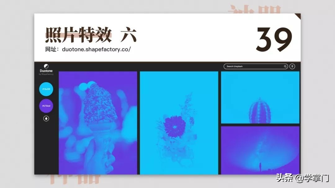 干货分享100个,17个既实用又有趣的神奇网站