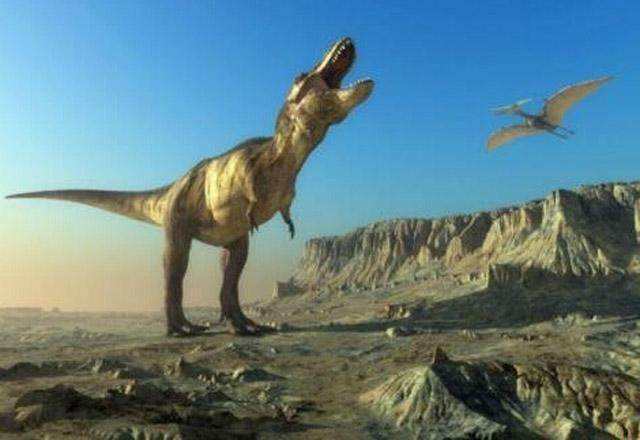 霸王龙比非洲象大多少,霸王龙和大象体型对比