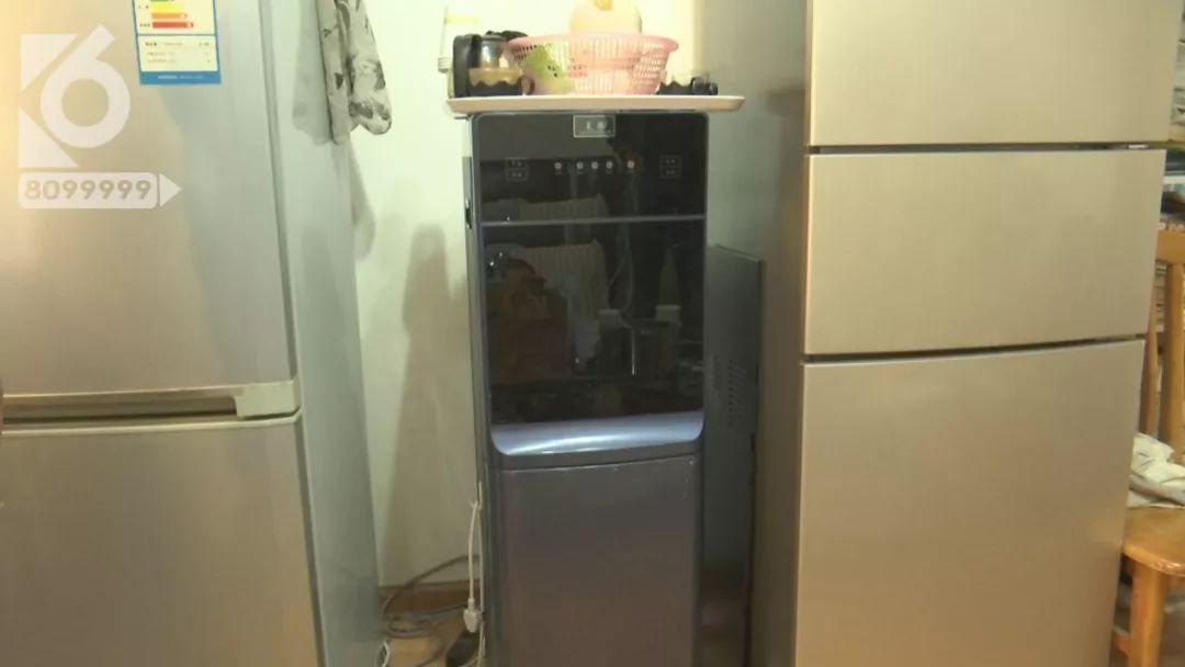 饮水机里全是蟑螂,饮水机里有蟑螂水还可以喝吗