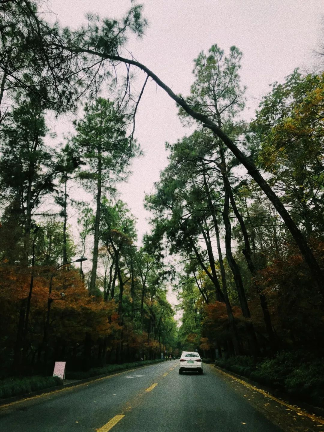 推荐秋冬毛衣高领,秋冬必备毛衣推荐