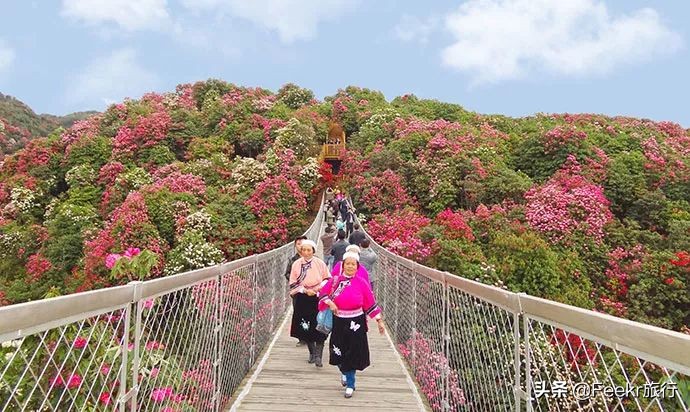 全球最大樱花基地原来就藏在贵州！万亩花海通到湖，机票低至2折