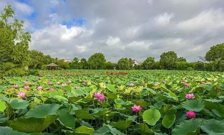 威海游览,威海玩美攻略潮玩街区