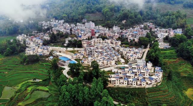 涓俊闆嗗洟甯壎,涓俊闆嗗洟鎵惰传榛旀睙