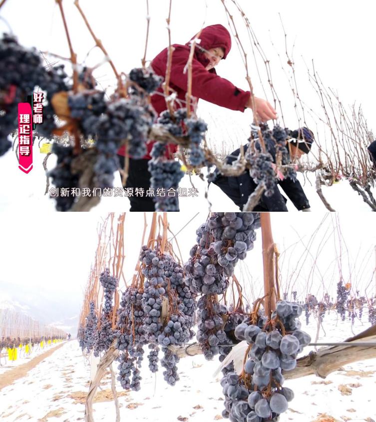 东北人才懂,东北人才懂的味道